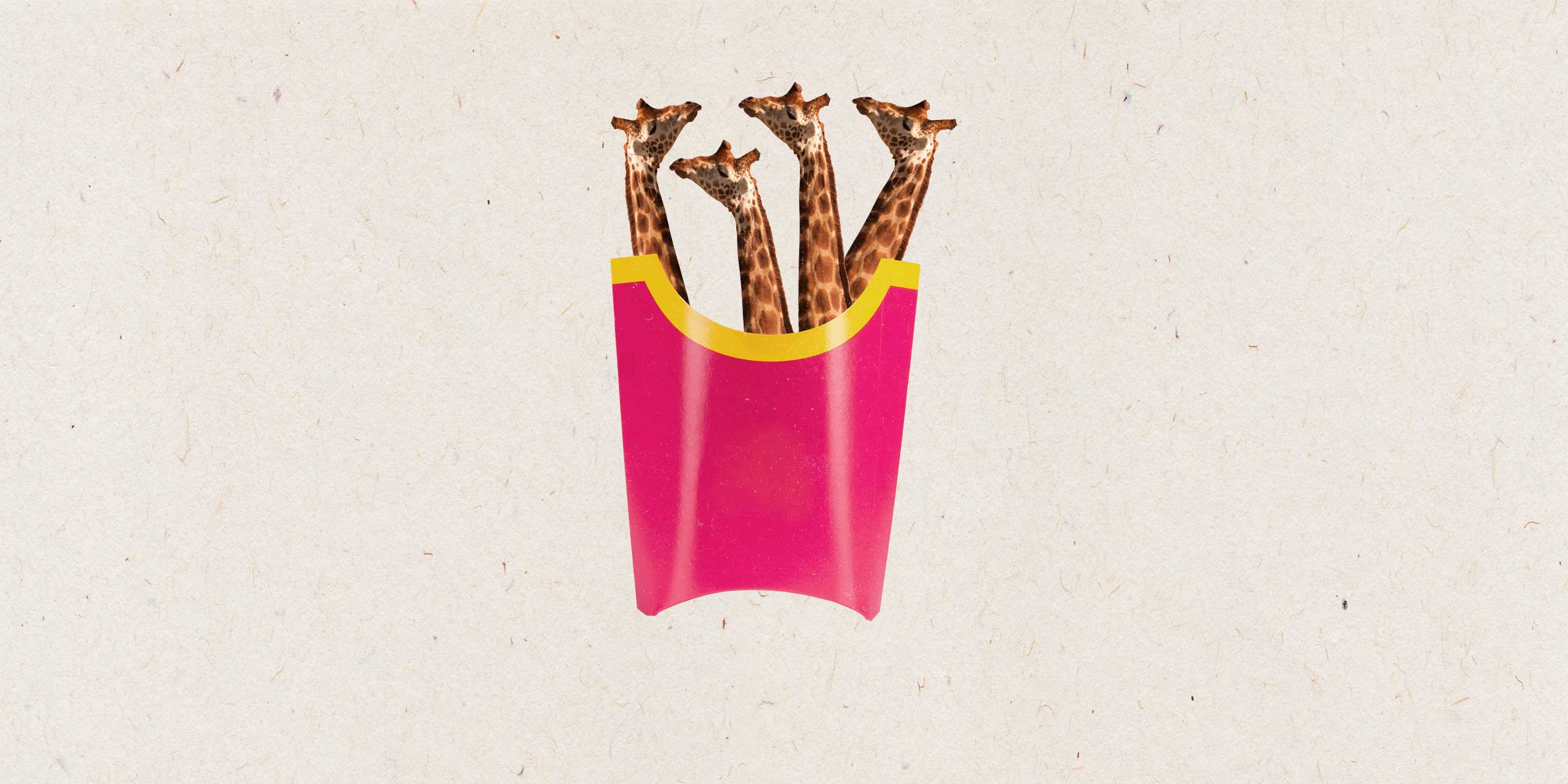 4 girafes dans un emballage de frites